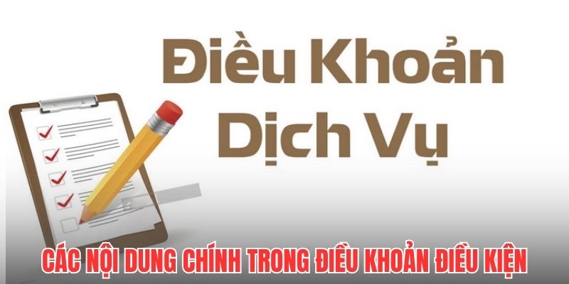 Các nội dung chính trong điều khoản điều kiện