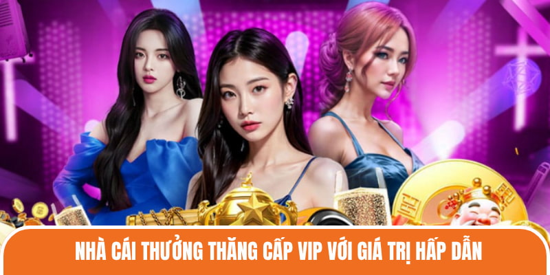 Nhà cái thưởng thăng cấp VIP với giá trị hấp dẫn