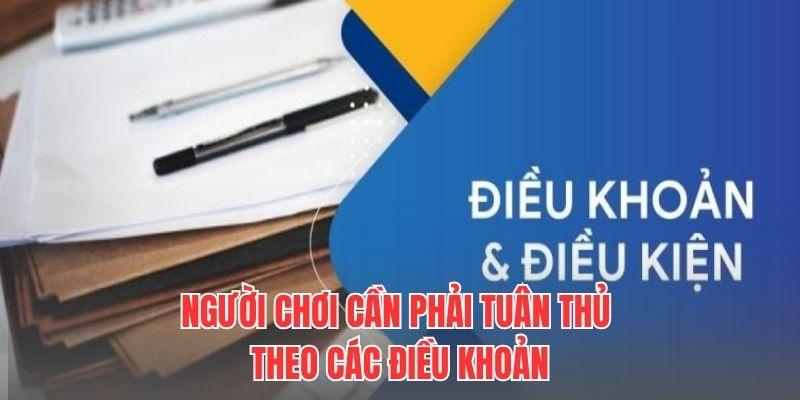 Người chơi cần phải tuân thủ theo các điều khoản