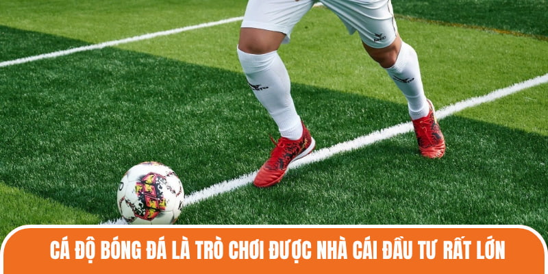 Cá độ Bóng Đá là trò chơi được nhà cái đầu tư rất lớn
