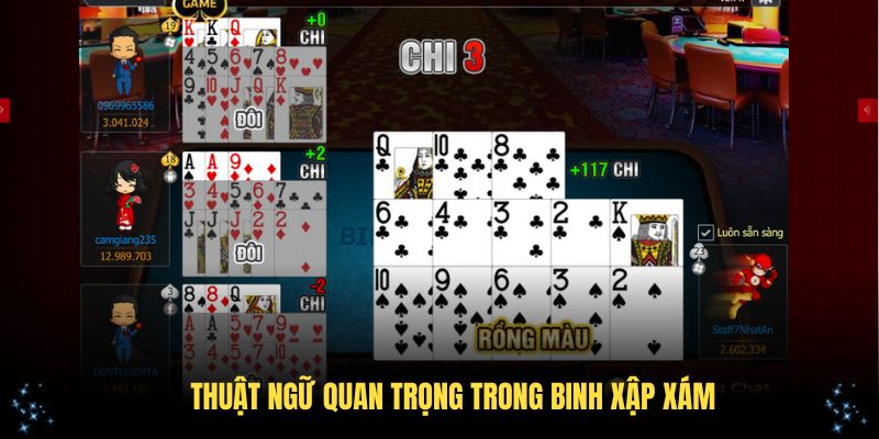 Những thuật ngữ quan trọng trong Binh Xập Xám cần nắm rõ